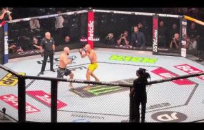 UFC PARIS 4 FIGHT NIGHT GUSTAFSSON VS FAKHRETDINOV   youtube